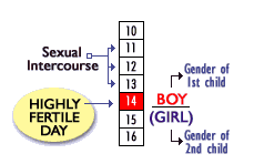 gender selection